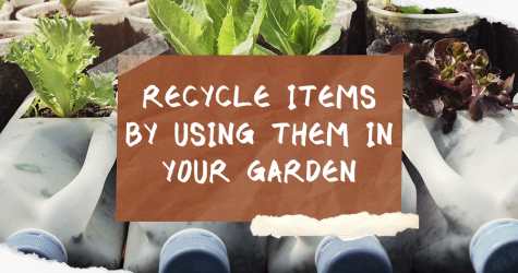 Recycle items by using them in your garden