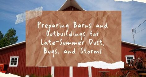 Preparing Barns and Outbuildings for Late-Summer Dust, Bugs, and Storms