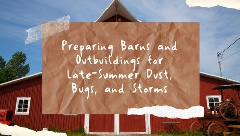 Preparing Barns and Outbuildings for Late-Summer Dust, Bugs, and Storms