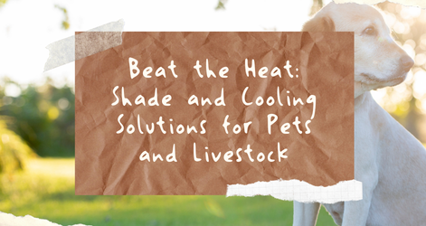 Beat the Heat: Shade and Cooling Solutions for Pets and Livestock
