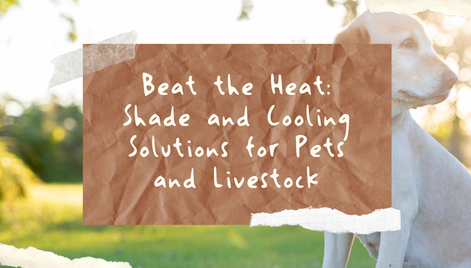 Beat the Heat: Shade and Cooling Solutions for Pets and Livestock