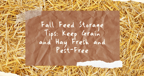 Fall Feed Storage Tips: Keep Grain and Hay Fresh and Pest-Free