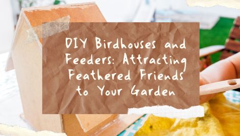 DIY Birdhouses and Feeders: Attracting Feathered Friends to Your Garden
