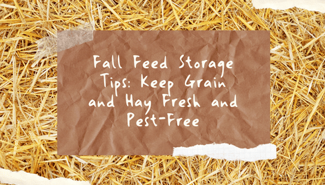 Fall Feed Storage Tips: Keep Grain and Hay Fresh and Pest-Free